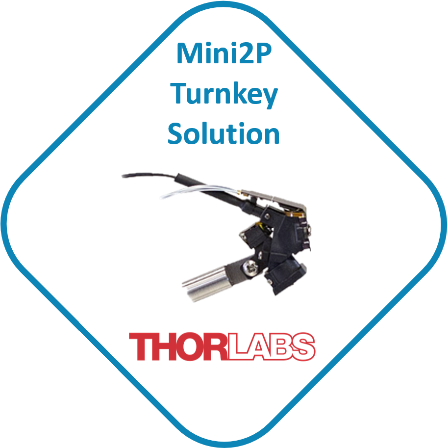 Mini2P Turnkey Solution - ThorLabs