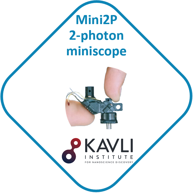 Mini2P 2-photon miniscope - Kavli Institute